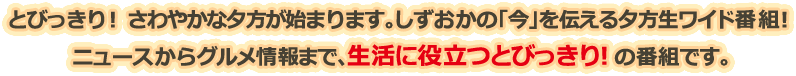 とびっきり!さわやかな夕方が始まります。しずおかの「今」を伝える夕方生ワイド番組!ニュースからグルメ情報まで、生活に役立つとびっきり!の番組です。