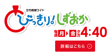 とびっきり！しずおか