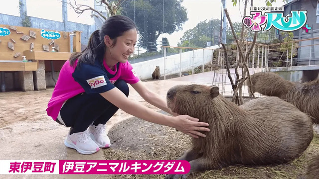 動画サムネイル画像