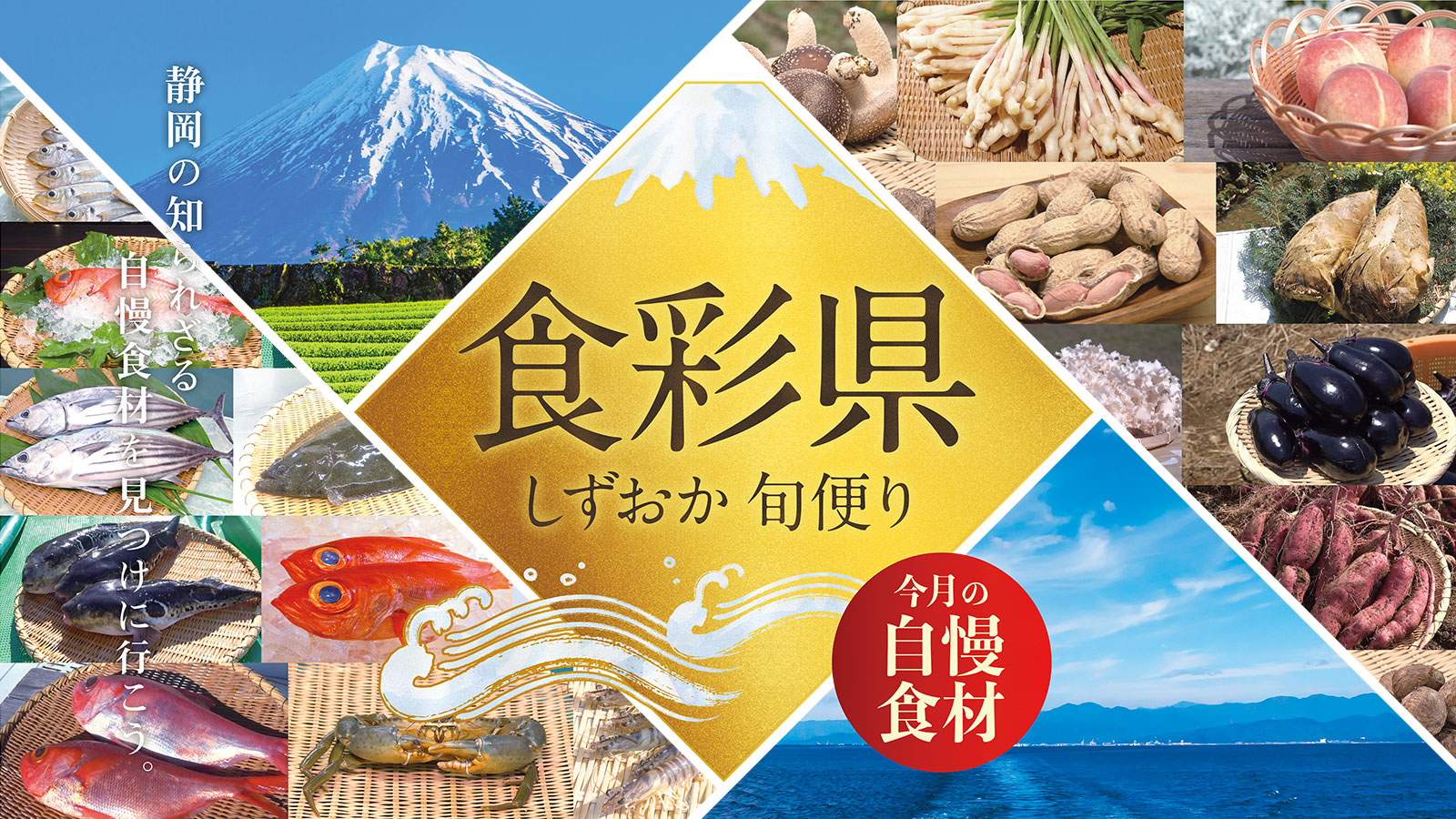 食彩県 しずおか旬便り ～今月の自慢食材～