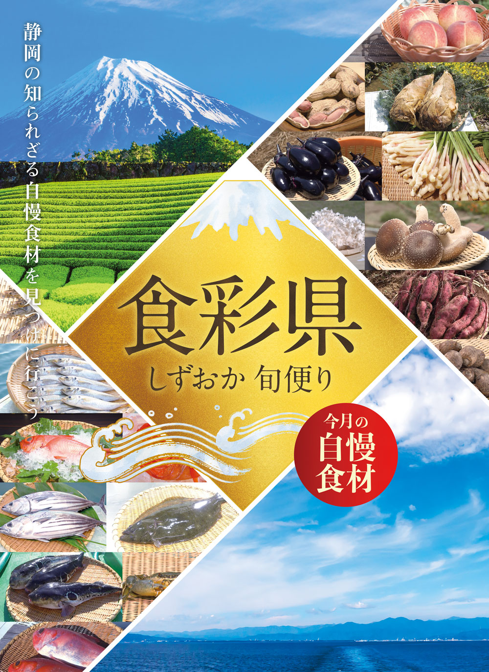 食彩県 しずおか旬便り ～今月の自慢食材～
